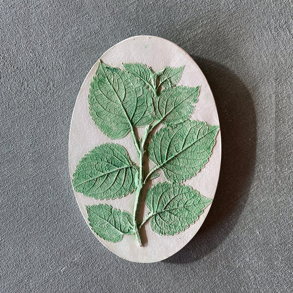 Original Botanical Cast - Mini Oval Collection - 6