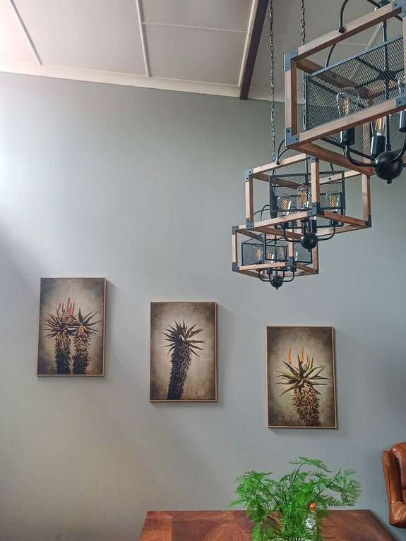 Mountain Aloes - Set of 3x 60x90cm prints