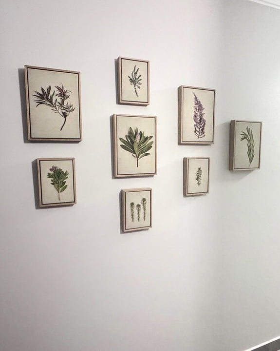 Fynbos Garden Gallery Wall