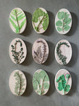 Original Botanical Cast - Mini Oval Collection - 14