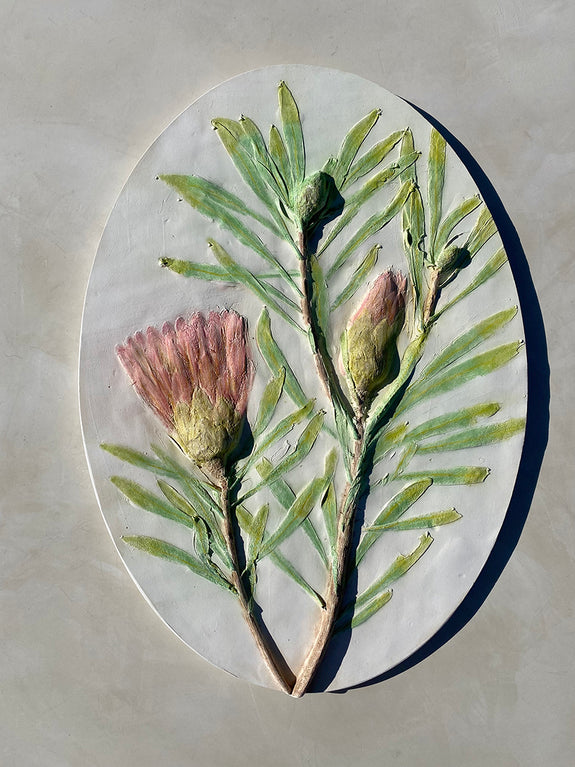 Original Botanical Cast - A3 Oval - Protea