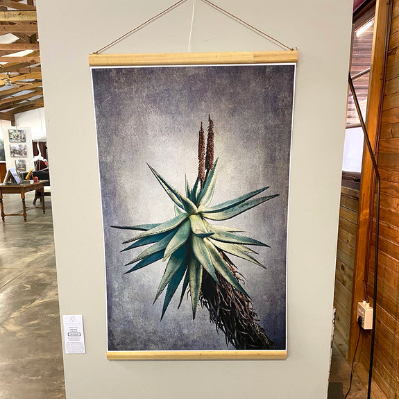 Aloe - 60x90cm Paper print with wooden hanger - ON SALE