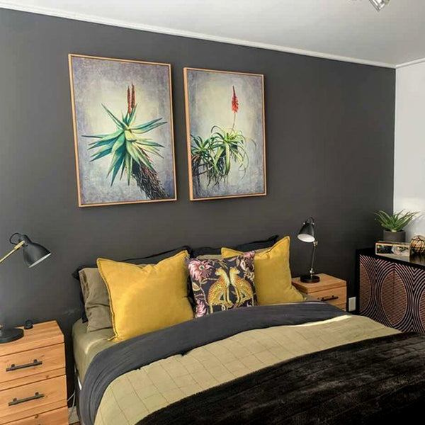 Aloes