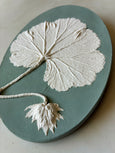 Original Botanical Cast - Mini Ovals - Green Ombré - Set of 16