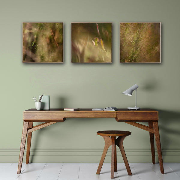 Hidden Kingdom - 3x Small Square Art prints, set 1