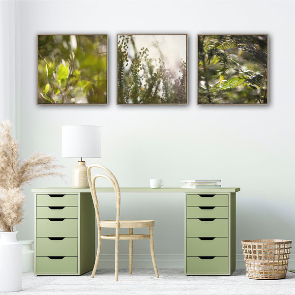 Hidden Kingdom - 3x Small Square Art prints, set 2