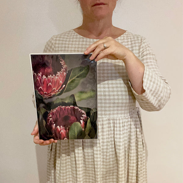 Print Sale - Red Protea 1 - A4 - Unframed