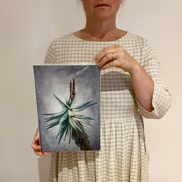 Print Sale - Aloe - A4 - Unframed