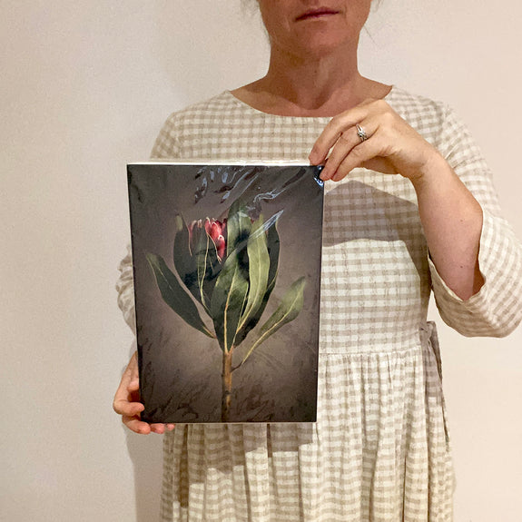 Print Sale - Red Protea 2 - A4 - Unframed