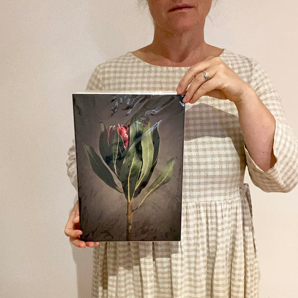 Print Sale - Red Protea 2 - A4 - Unframed