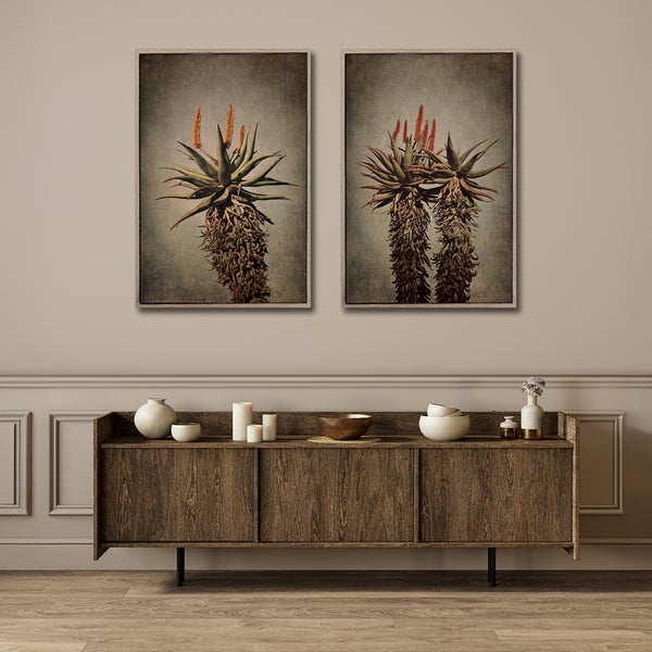 Mountain Aloes - 2x Large Art Prints, set 1