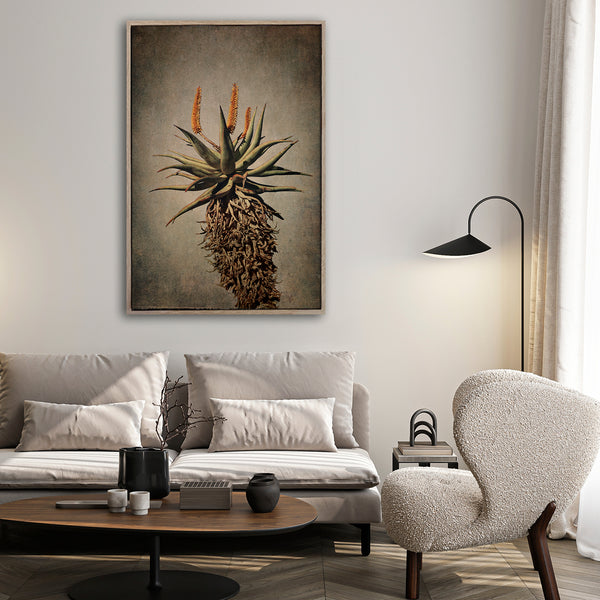 Mountain Aloes - 1x A0 Art Print, no.3