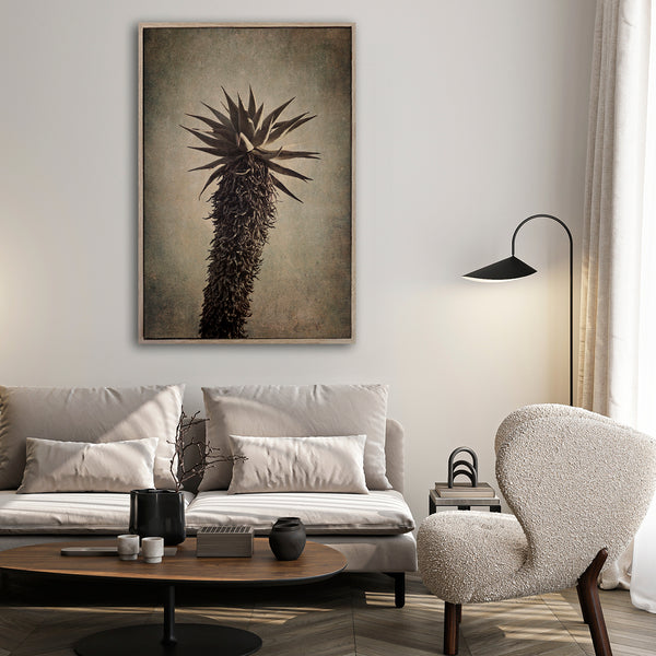 Mountain Aloes - 1x A0 Art Print, no.2