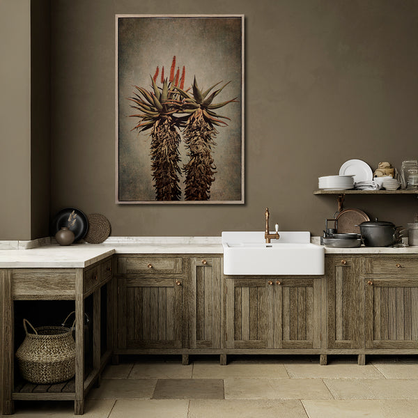 Mountain Aloes - 1x A0 Art Print, no.1