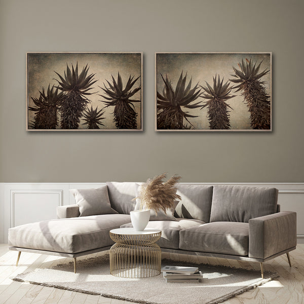 Mountain Aloes - 2x Large Art Prints, LS