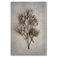 Print Sale - Everlasting 2 - A4 - Unframed