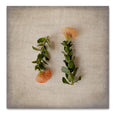 Print Sale - Fynbos on Linen 6 - 30x30cm - Unframed