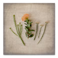 Print Sale - Fynbos on Linen 3 - 30x30cm - Unframed