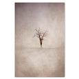 Print Sale - Lone Tree 3 - A2 - Unframed