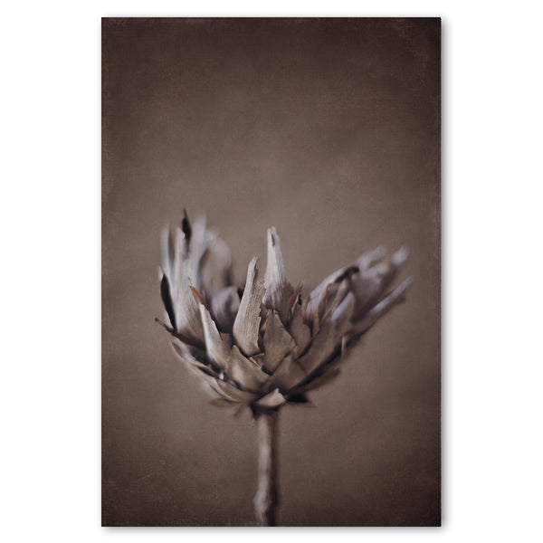 Resilient Reverie 2