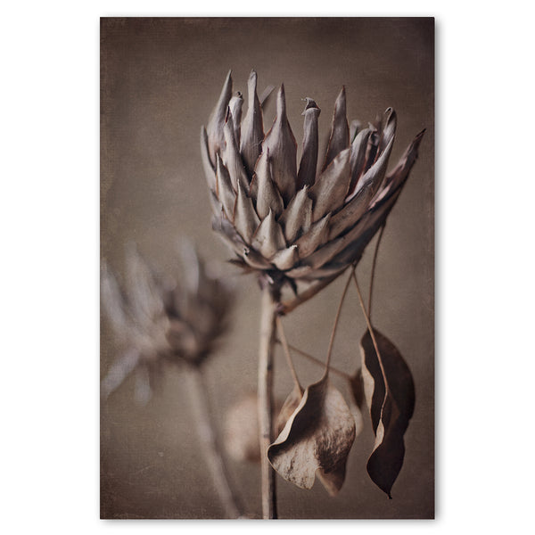 Resilient Reverie 3
