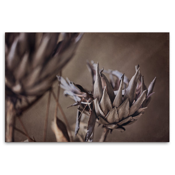 Resilient Reverie 6