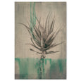 Sage Aloes - 100x150cm Art Print