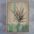 Sage Aloes - 2x Large Art Prints, set 2