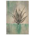 Sage Aloes - 1x 60x90cm Art Print