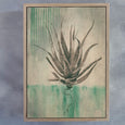 Sage Aloes - 1x 60x90cm Art Print