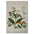 Summer Medley - 2x Large Art Prints, set 1