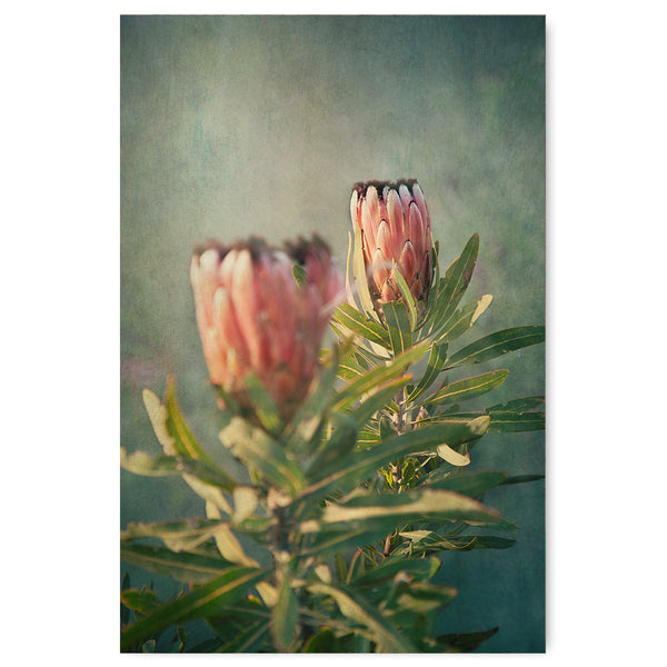 Wildflower 3