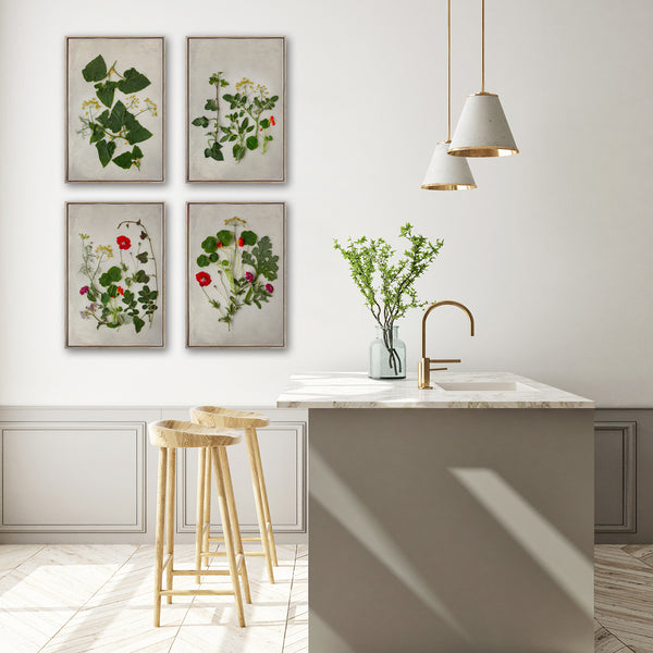 Summer Medley - 4x A2 Art Prints