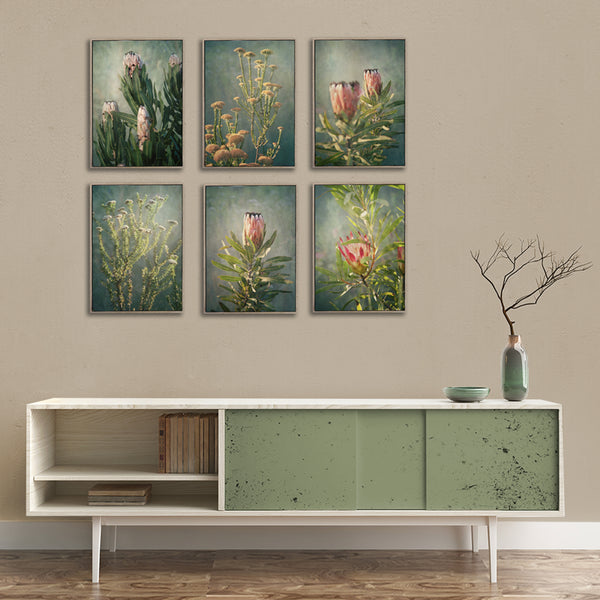 Wildflower - 6x A3 Art prints