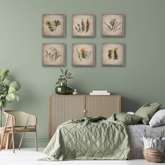 Print Sale - Fynbos on Linen - set of 6x 30x30cm - Unframed