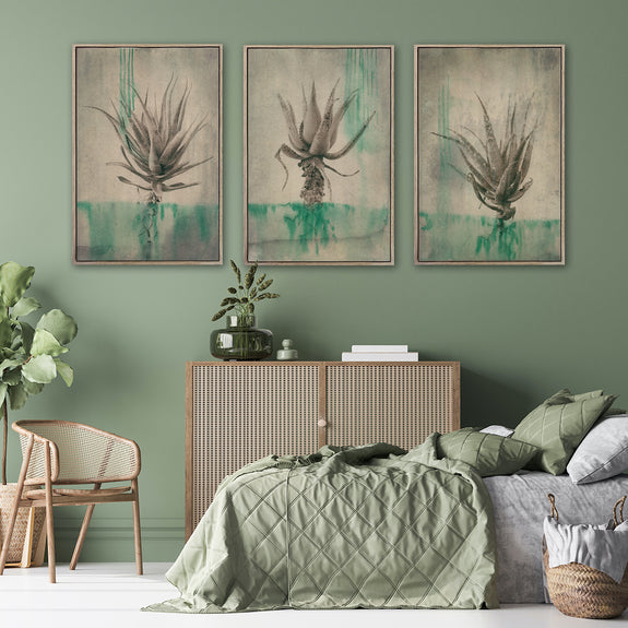 Sage Aloes - 3x A2 Art Prints