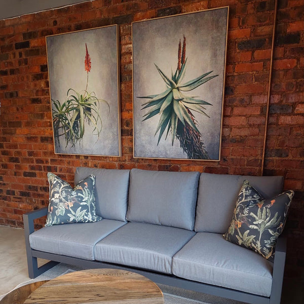 Aloes