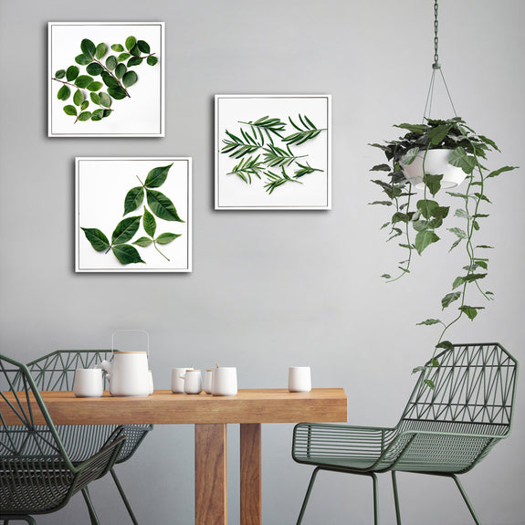Leaves - 3x Square Art prints, medium