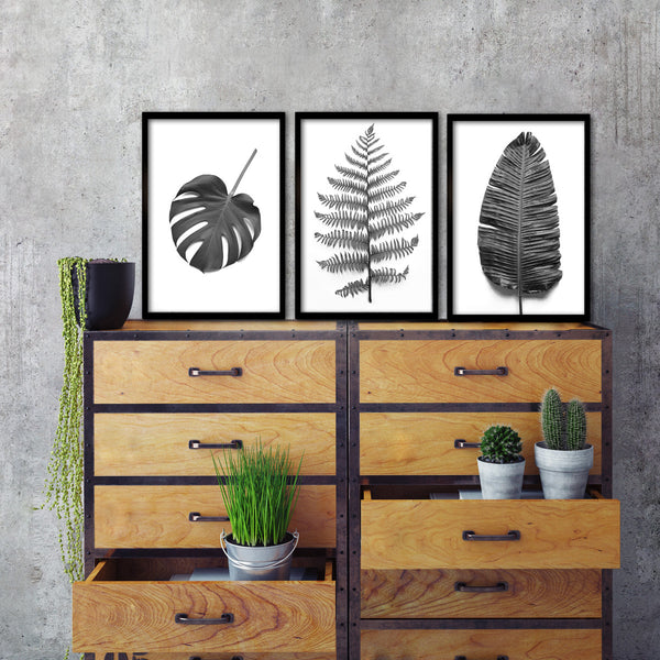 B&W Greenery - 3x A3 Art prints