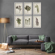 Fynbos Garden Gallery Wall - 6x A2 Art prints