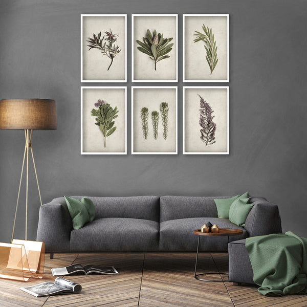 Fynbos Garden Gallery Wall - 6x A2 Art prints