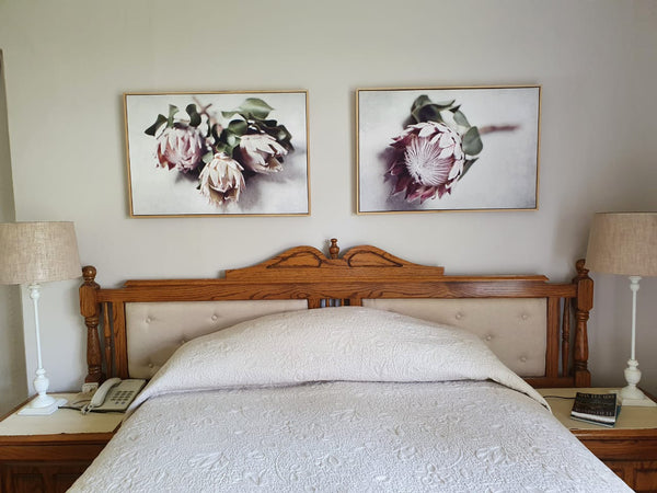 Pale Proteas