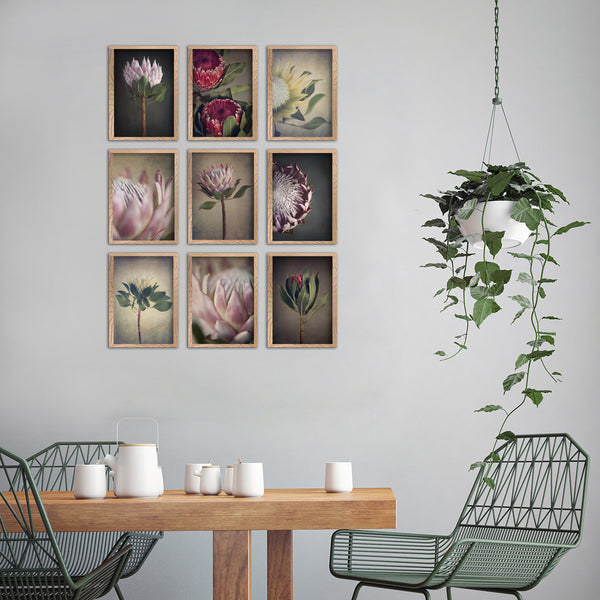 Petite Proteas - 9x A5 Art prints