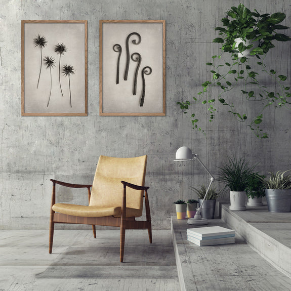 Art Forms in Nature - 2x Large Art prints