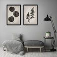 Art Forms in Nature - 2x Large Art prints, set 2