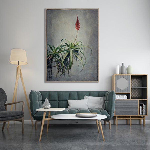 Aloe 2 - 100x150cm Art print