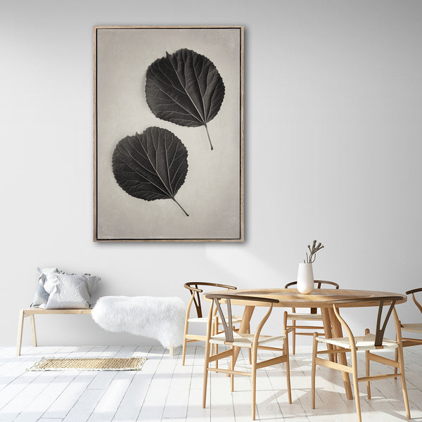 Art Forms in Nature 2 - 100x150cm Art print
