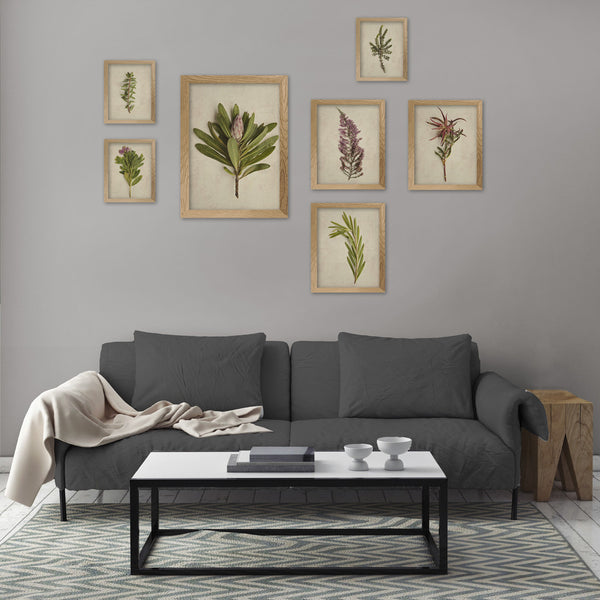 Fynbos Garden Gallery Wall - 7x Art prints, set 2