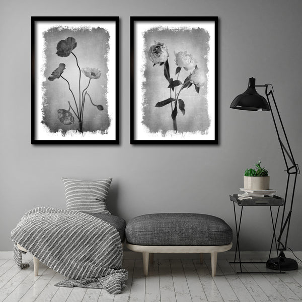 Brushed Blooms - 2x Large Art prints, Peonies & Poppies