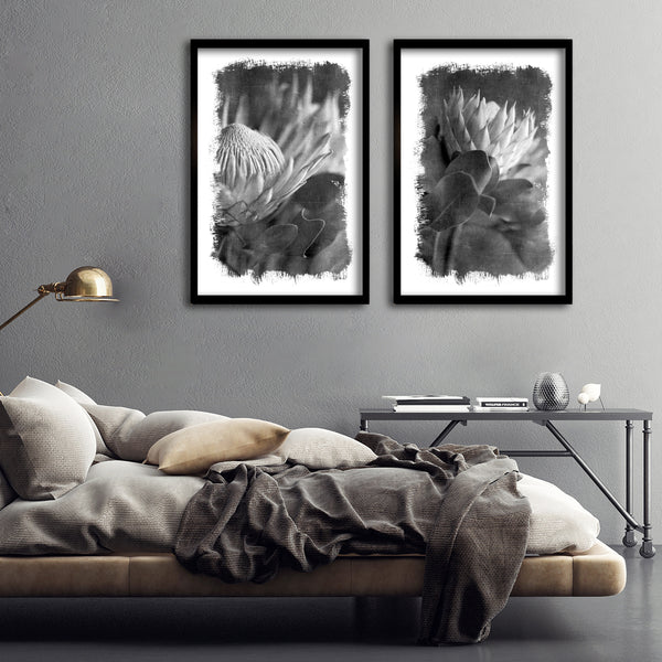 Brushed Blooms - 2x Large Art prints, Protea set 1